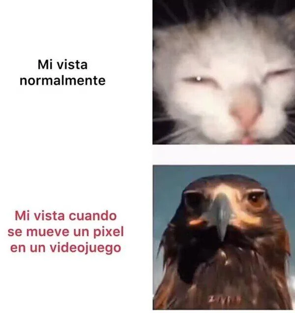 Gamer Vision Eagle | Learn Spanish With Memes