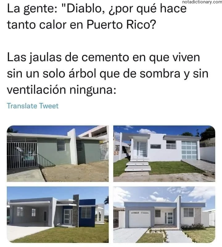 Learn Spanish With Memes: Las Jaulas de Cemento