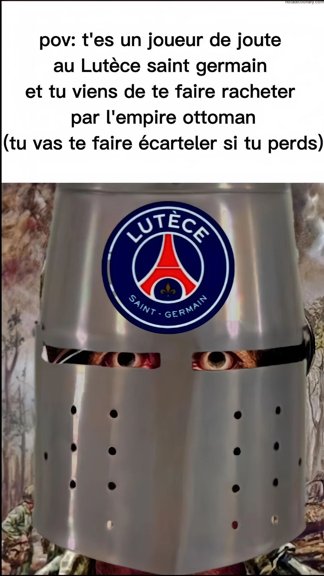 Learn French With Memes: Le Pov du Joueur de Joute