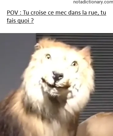 Learn French With Memes: Tu Croise Ce Mec Dans La Rue