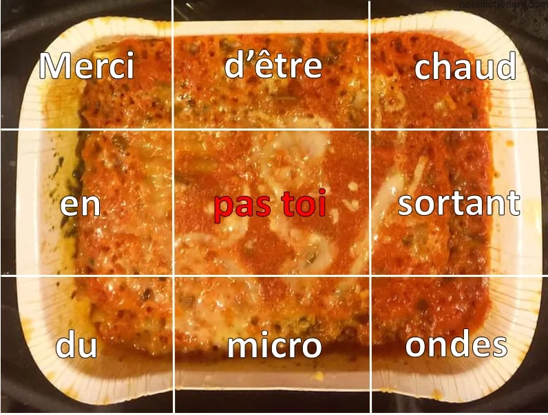 Learn French With Memes: Merci d’être chaud en pas toi sortant