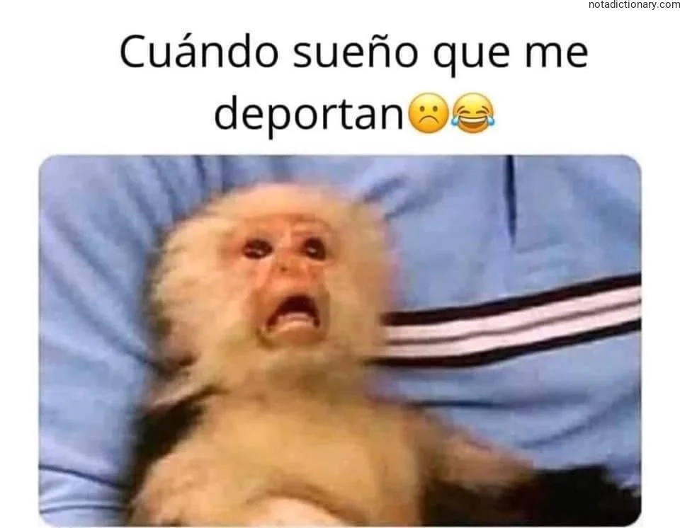 Learn Spanish With Memes: Cuándo Sueño Que Me Deportan