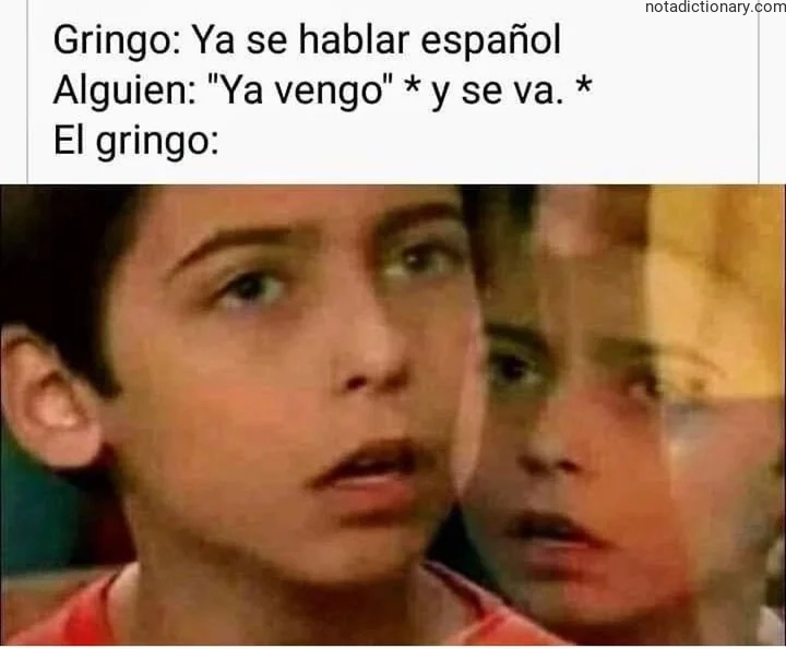 Learn Spanish With Memes: The ‘Ya vengo’ Trap