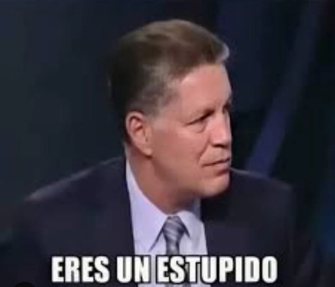 Learn Spanish With Memes: Eres Un Estupido