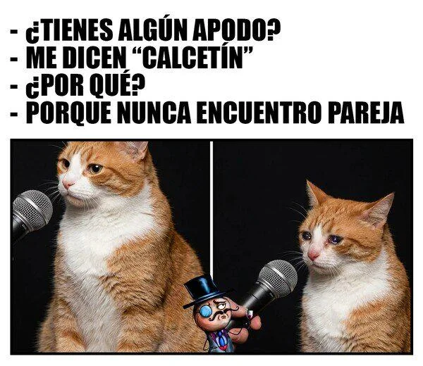 Sock Nickname | Learn Spanish With Memes