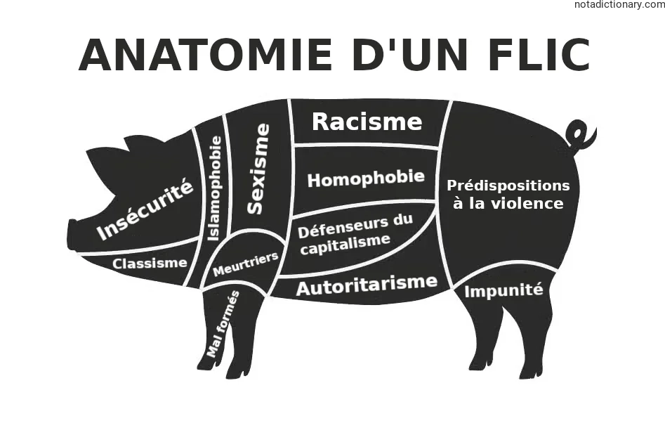 Learn French With Memes: L’Anatomie d’un Flic