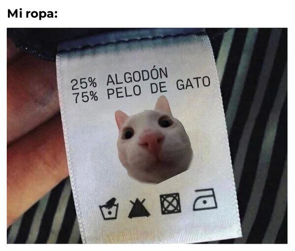 Cat Hair Clothing Label | Learn Spanish With Memes