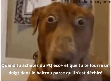 Learn French With Memes: Le PQ Eco+ Et Le Baltrou