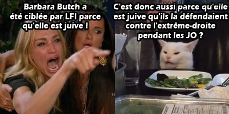 Learn French With Memes: Les Erreurs de Logique