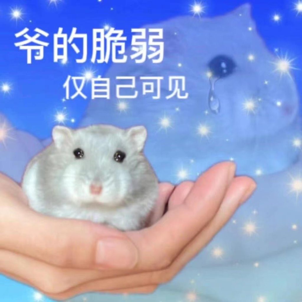 吵到我写代码了 | Learn Chinese With Memes
