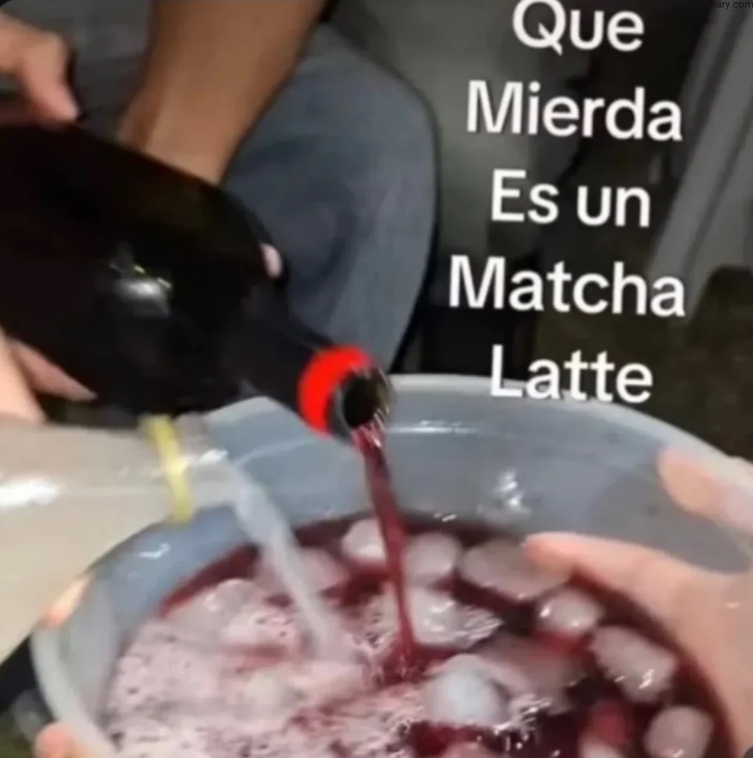 Learn Spanish With Memes: Que Mierda Es un Matcha Latte