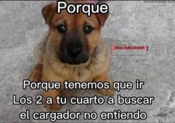 Learn Spanish With Memes: Porque Tenemos Que Ir