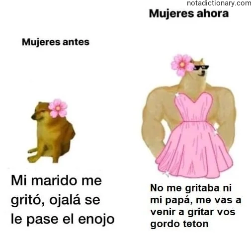 Learn Spanish With Memes: El Enfado y los Apodos
