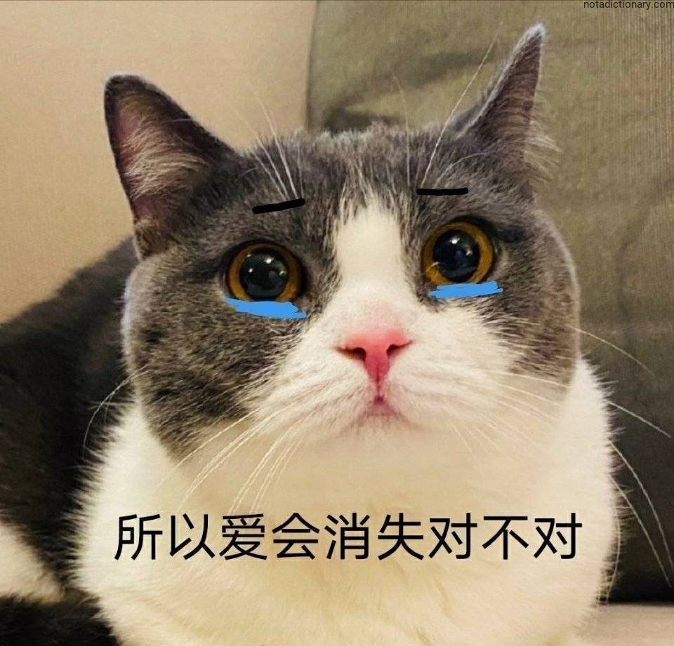 Learn Chinese With Memes: 所以爱会消失对不对