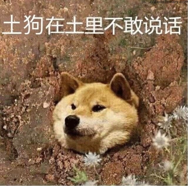 Learn Chinese With Memes: 土狗在土里不敢说话