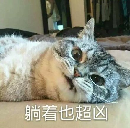 Learn Chinese With Memes: 躺着也超凶