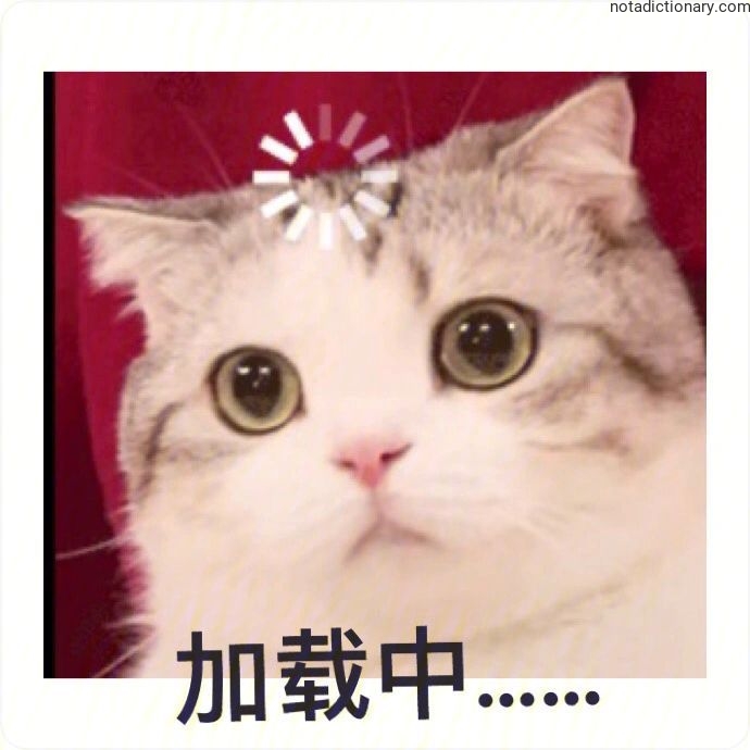 Learn Chinese With Memes: 加载中……