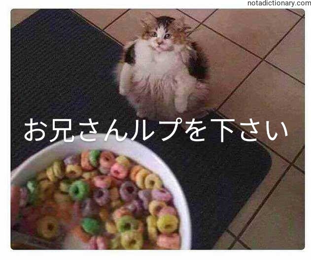Learn Japanese With Memes: Oto-san Rupu o Kudasai