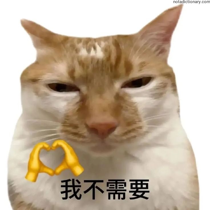 Learn Chinese With Memes: 我不需要