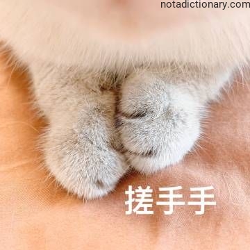 Learn Chinese With Memes: 搓手手