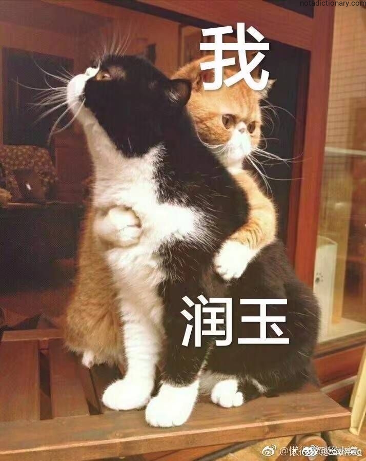 Learn Chinese With Memes: Wo Run Yu