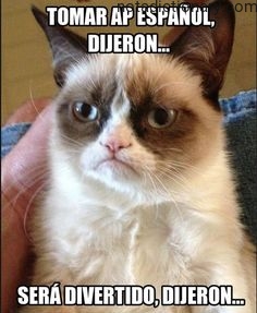 Learn Spanish With Memes: Los Errores Que Cometen