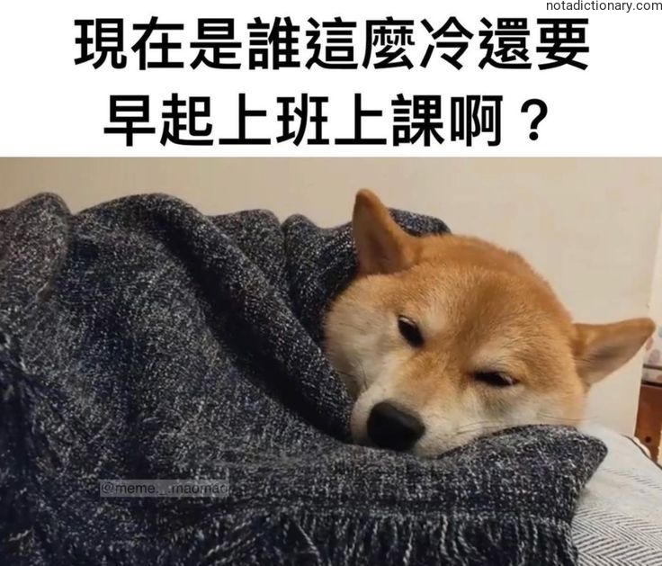 Learn Chinese With Memes: 誰這麼冷還要早起？