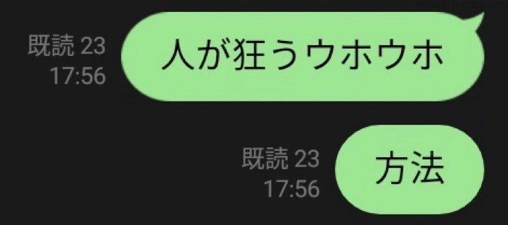 Learn Japanese With Memes: Gaining a New Method