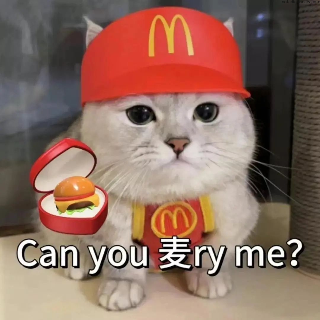 Learn English With Memes: Can You麦ry Me?