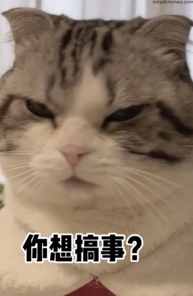 Learn Chinese With Memes: 你想搞事？
