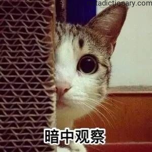 Learn Chinese With Memes: 暗中观察
