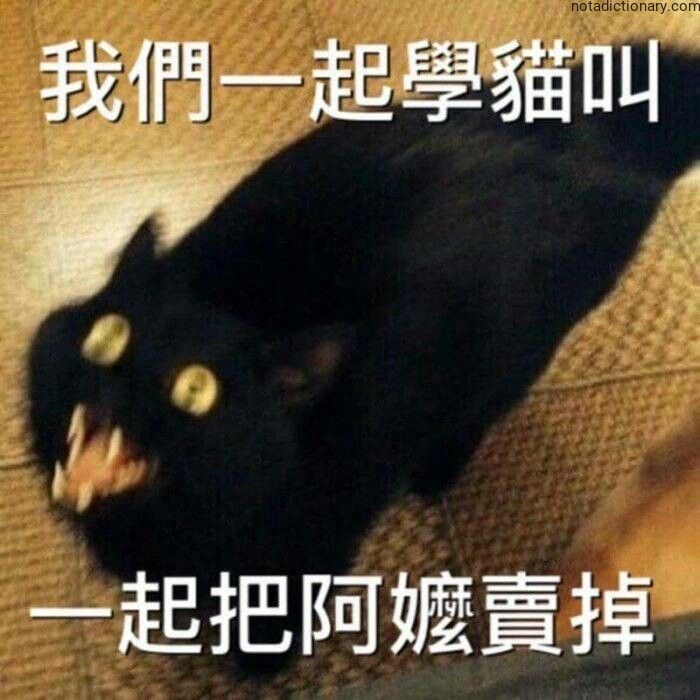 Learn Chinese With Memes: 學貓叫與賣阿嬤
