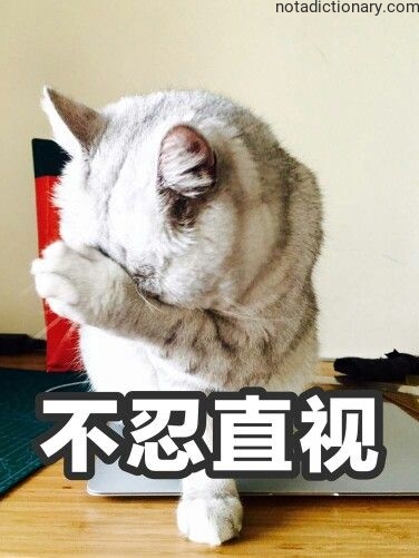 Learn Chinese With Memes: 不忍直视