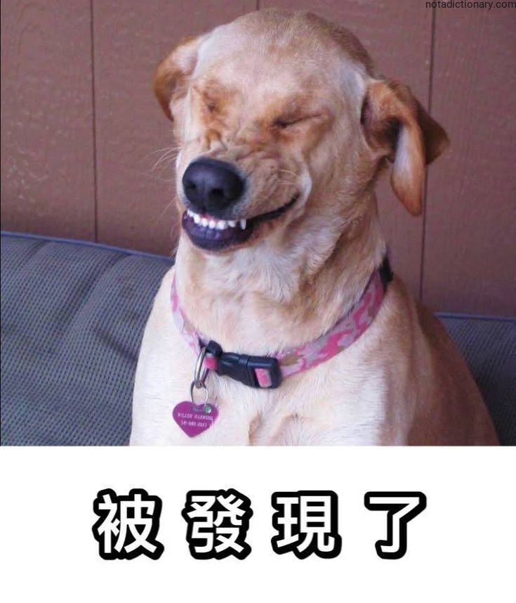 Learn Chinese With Memes: 被發現了