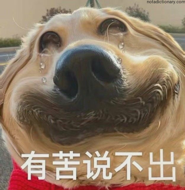 Learn Chinese With Memes: 有苦说不出