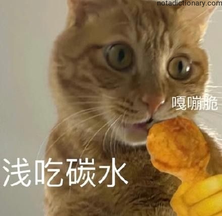 Learn Chinese With Memes: 浅吃碳水