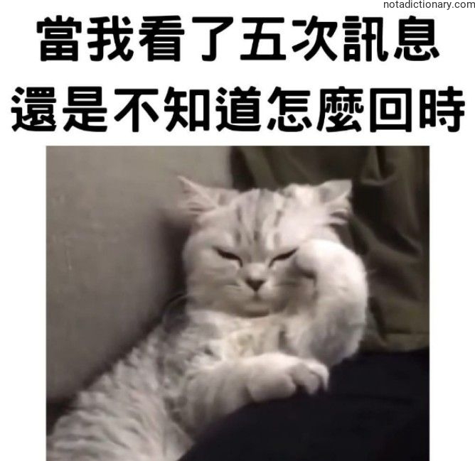 Learn Chinese With Memes: 我看不懂訊息