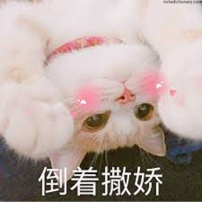 Learn Chinese With Memes: Dǎo Zhe Sā Jiāo