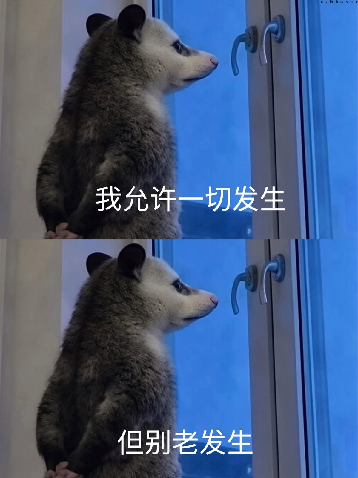Learn Chinese With Memes: 我允许一切发生