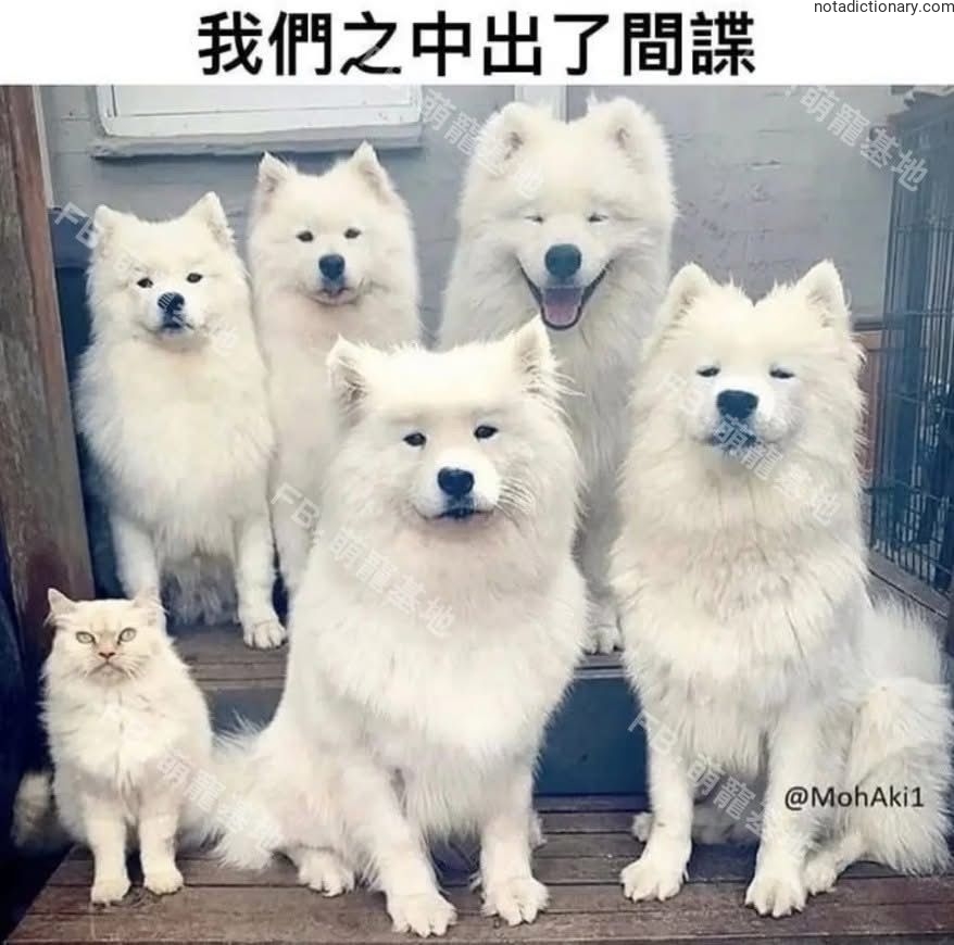 Learn Chinese With Memes: 我們之中出了間諜