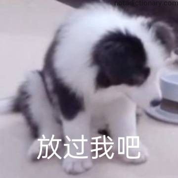 Learn Chinese With Memes: Fàngguò Wǒ Bā