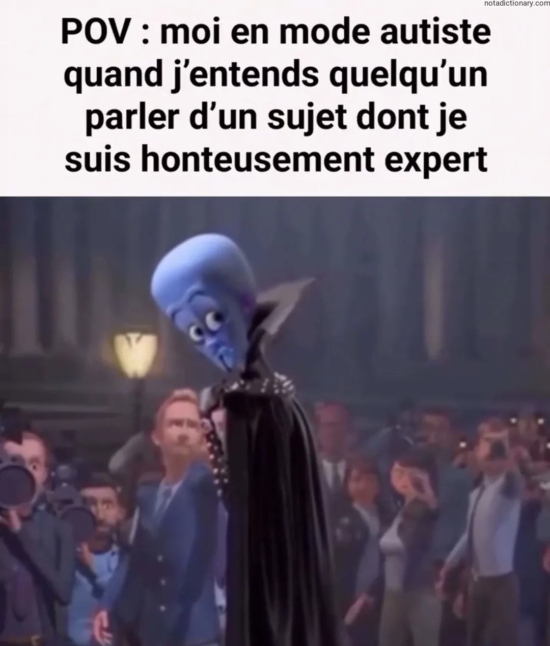 Learn French With Memes: Mon Mode Autiste Expert