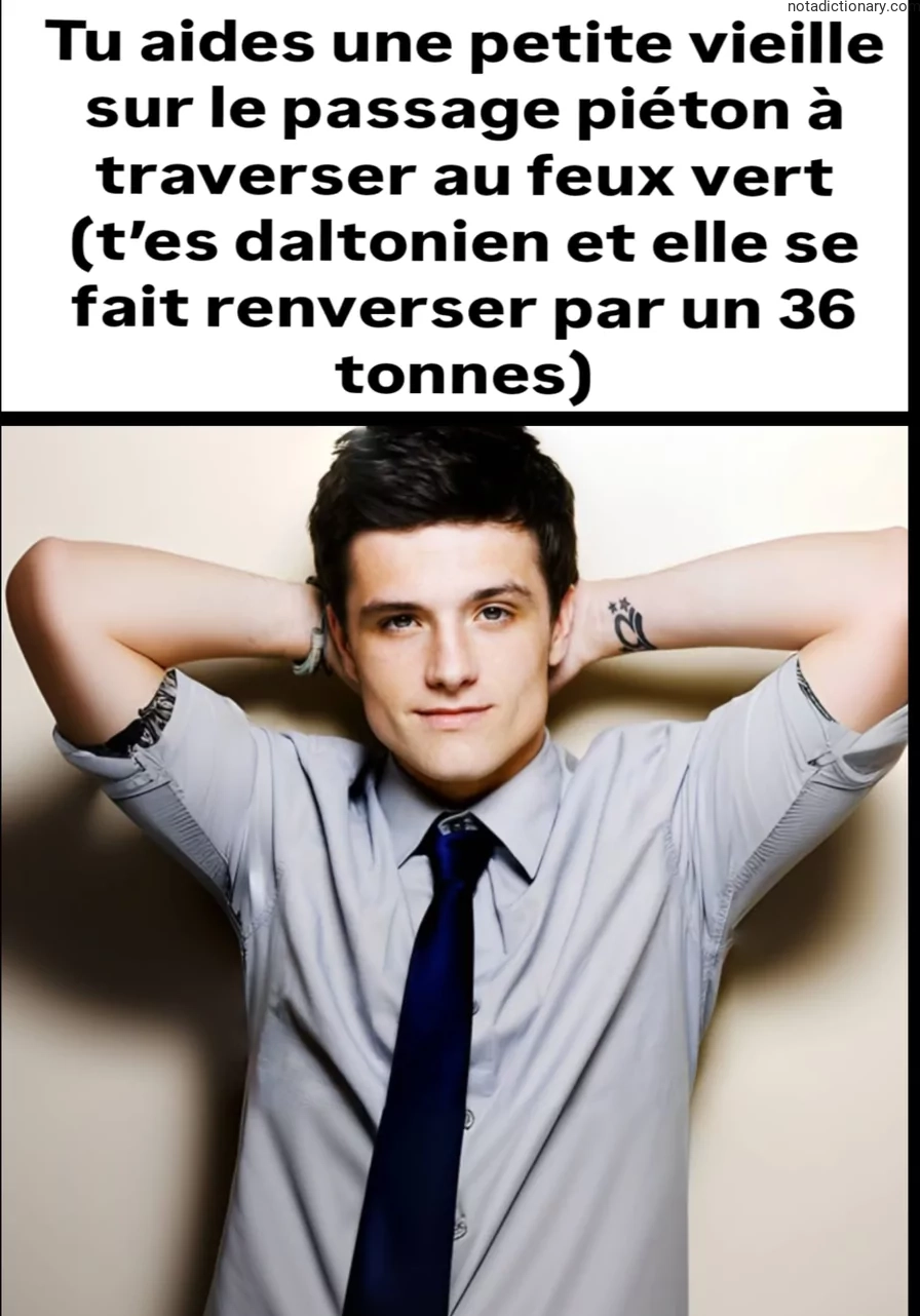 Learn French With Memes: Les Erreurs de Daltonisme