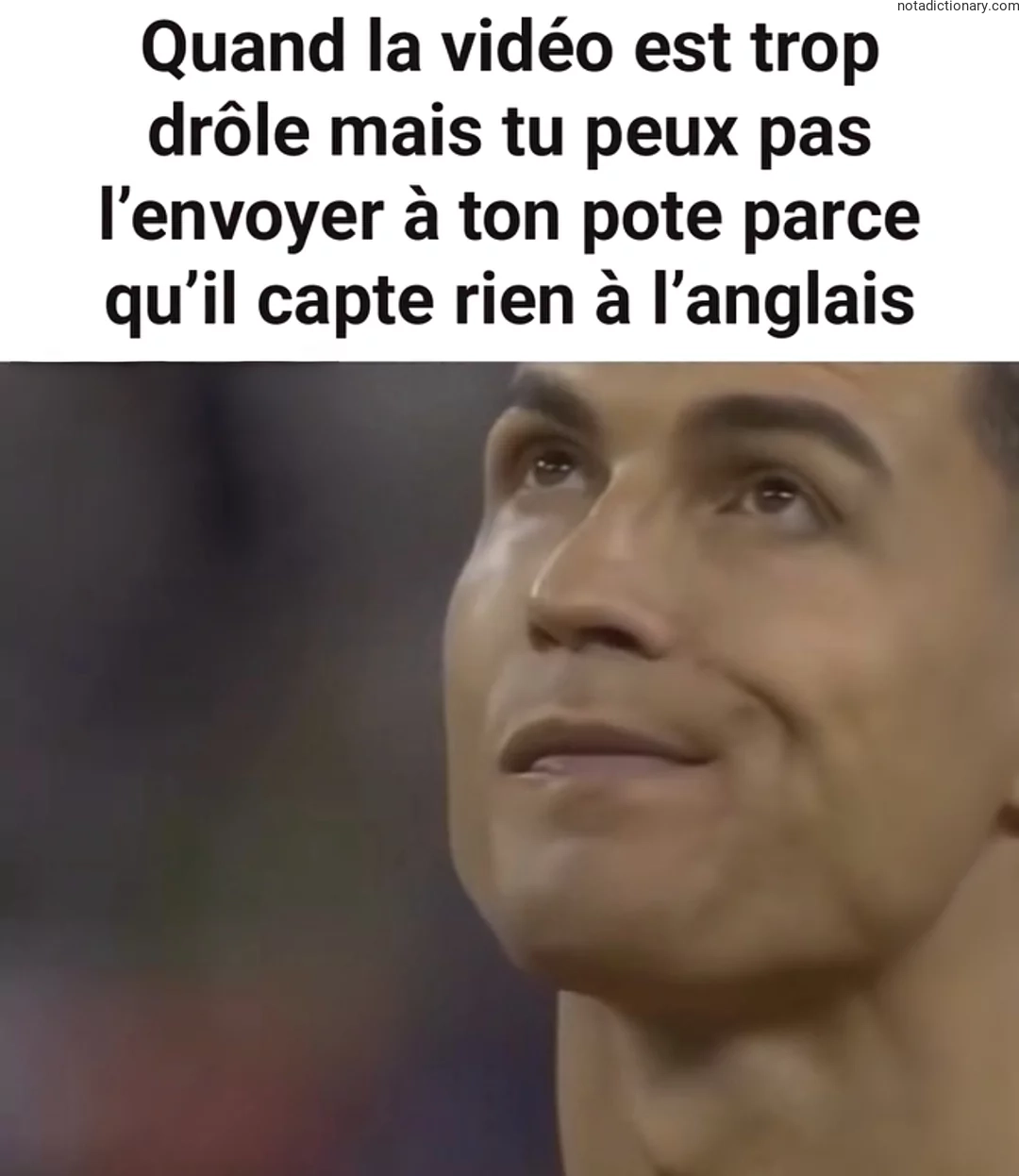Learn French With Memes: When the Video Is Too Funny