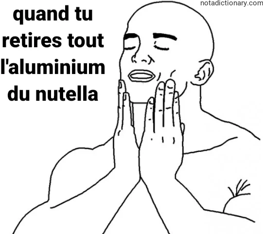Learn French With Memes: L’Aluminium Du Nutella