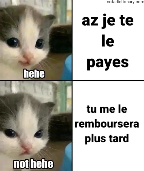 Learn French With Memes: The ‘Hehe’ Lie and Future Repayment