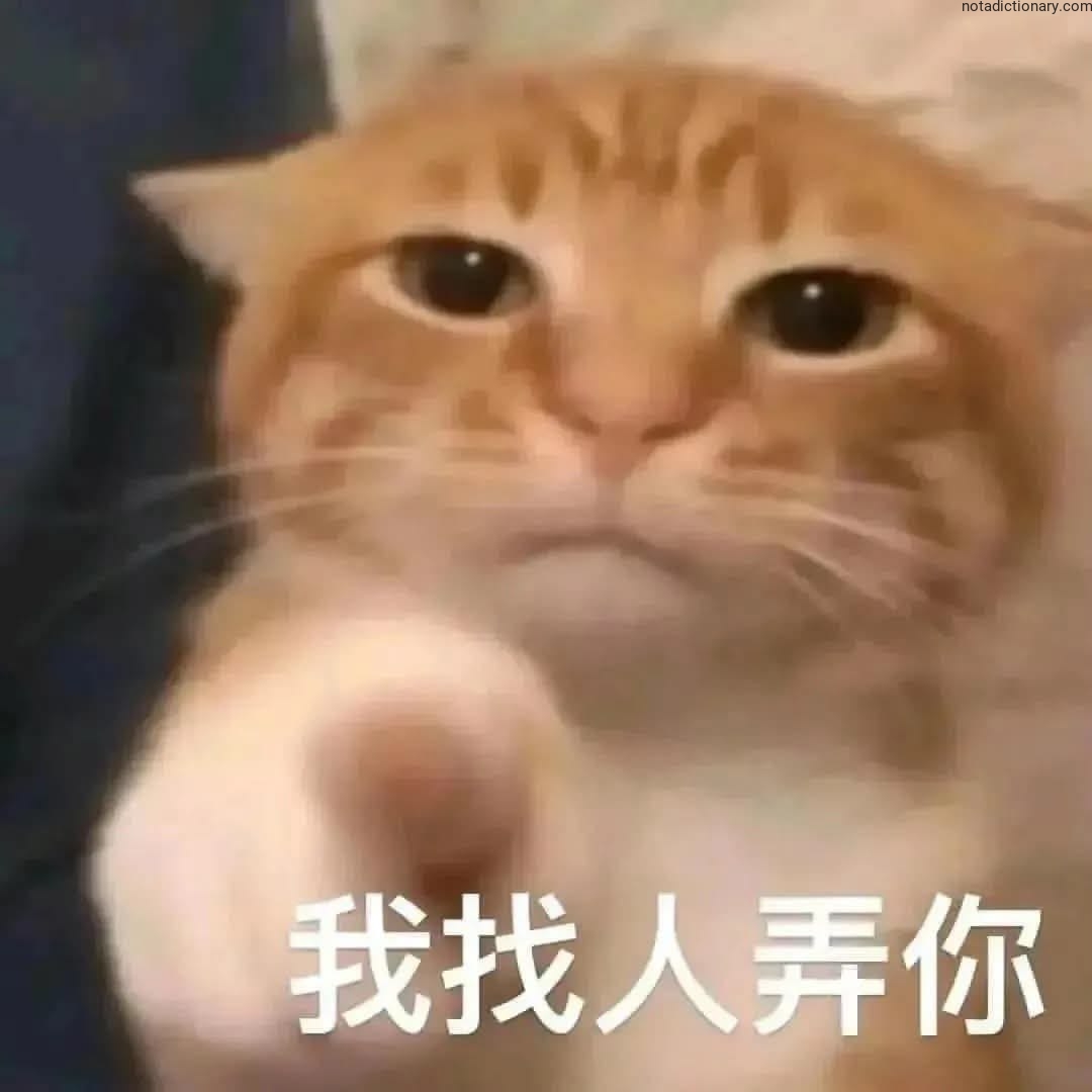 Learn Chinese With Memes: 我找人弄你