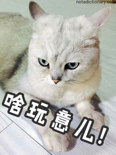 Learn Chinese With Memes: 什幺玩意儿!
