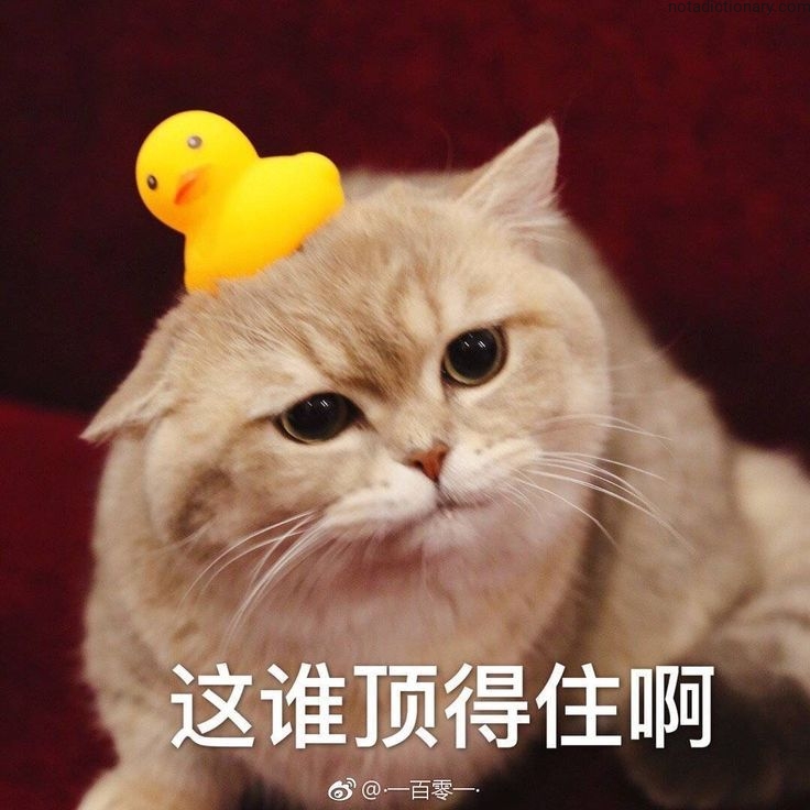 Learn Chinese With Memes: 这谁顶得住啊