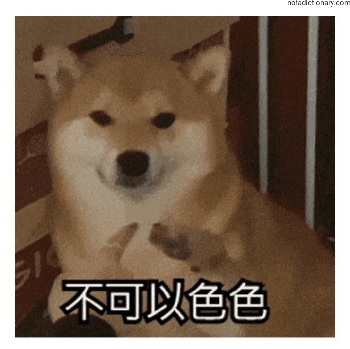 Learn Chinese With Memes: 不可以色色